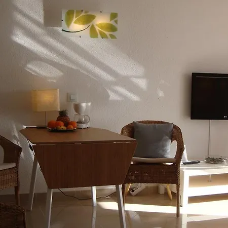 Apartment Adeje 300 Costa Adeje (Tenerife)