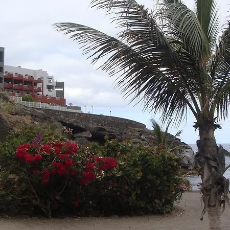 Adeje 300 * Costa Adeje (Tenerife)